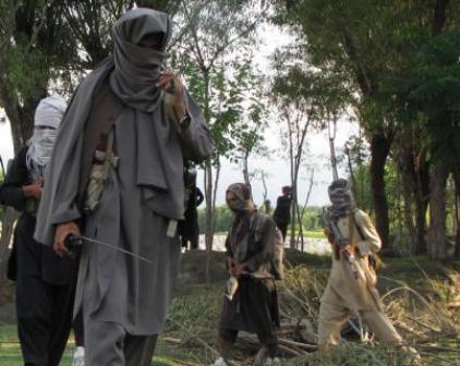 پنج فرمانده طالبان در ولایت کاپیسا کشته شدند