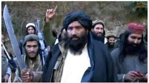 تروریستان داعشی درافغانستان، پاکستانی اند
