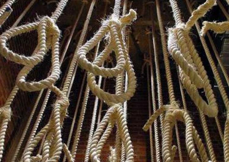 انتقاد از عربستان سعودی به دلیل افزایش اعدام ها