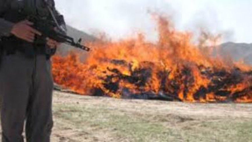 پولیس تخار، 1500 کیلوگرام مواد مخدر را آتش زد