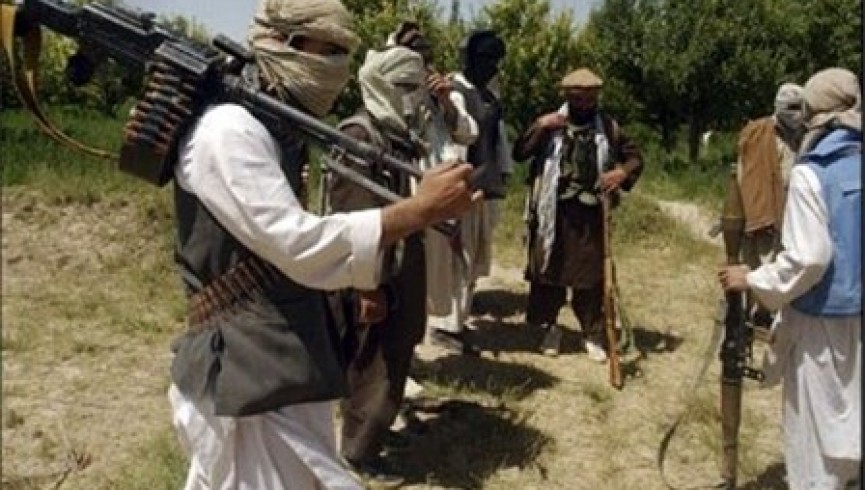 ترویستان خارجی در کنار طالبان علیه نیروهای امنیتی می‌جنگند