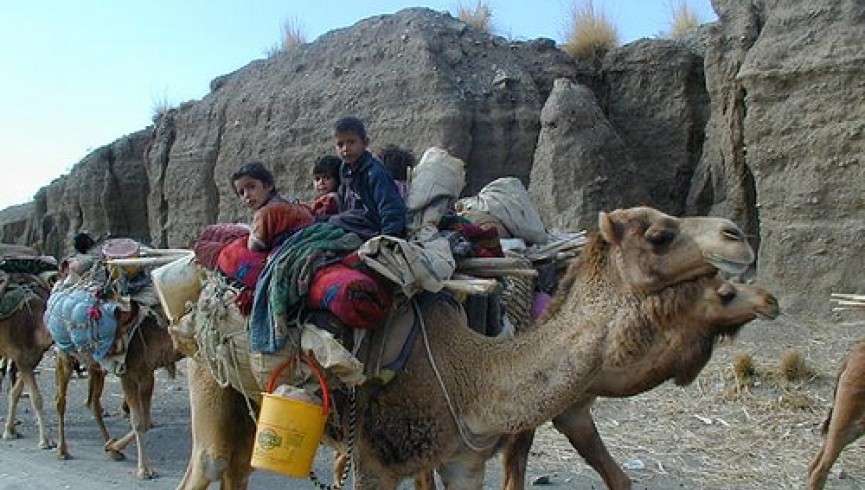 پاکستان پر افغان کوچیانو د مالونو څړځایونه بند کړي دي