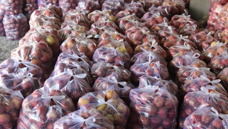 حکومت باید از واردات میوه تازه به کشور جلوگیری کند