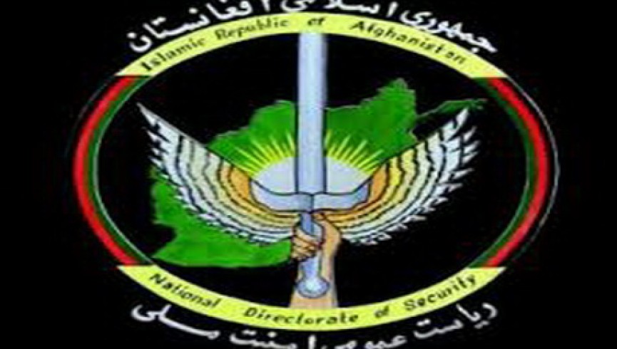 سه فرمانده کلیدی طالبان در عملیات ویژه امنیت ملی در هلمند بازداشت شدند