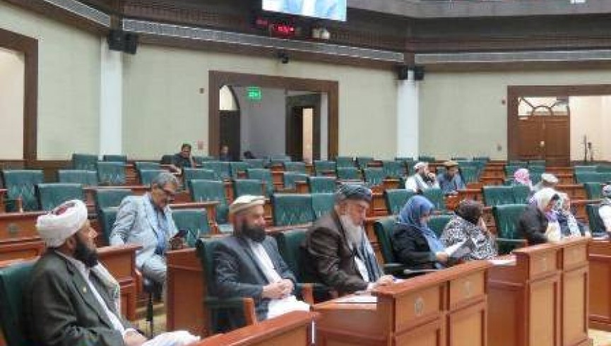 نگرانی سناتوران از اشتراک گروه‌های مافیایی در انتخابات پارلمانی