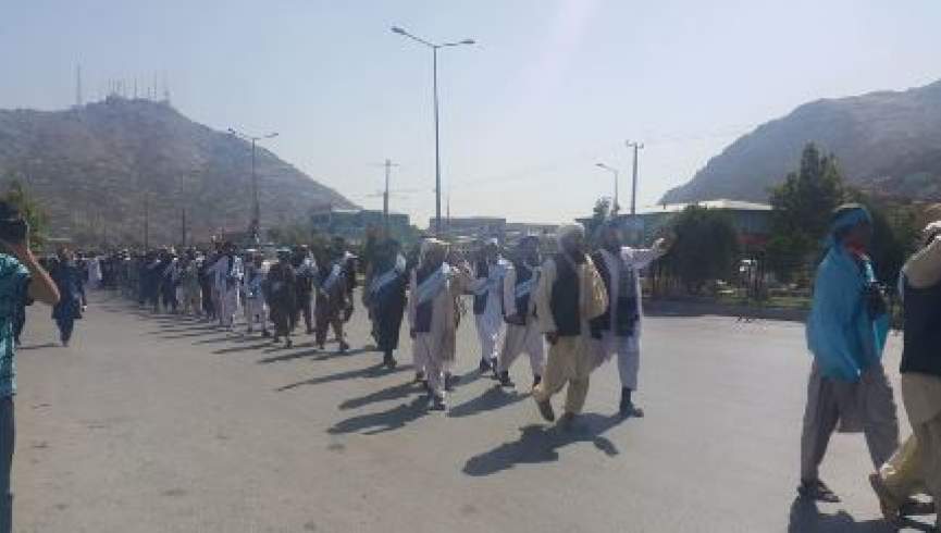 طالبان خواسته‌های کاروان صلح هلمند را رد کردند