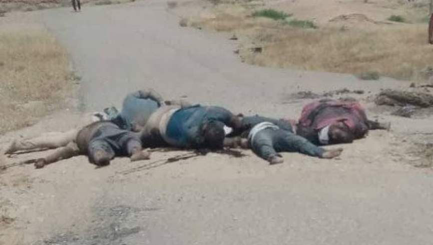 تروریستان داعشی 8 غیرنظامی عراقی را اعدام کردند