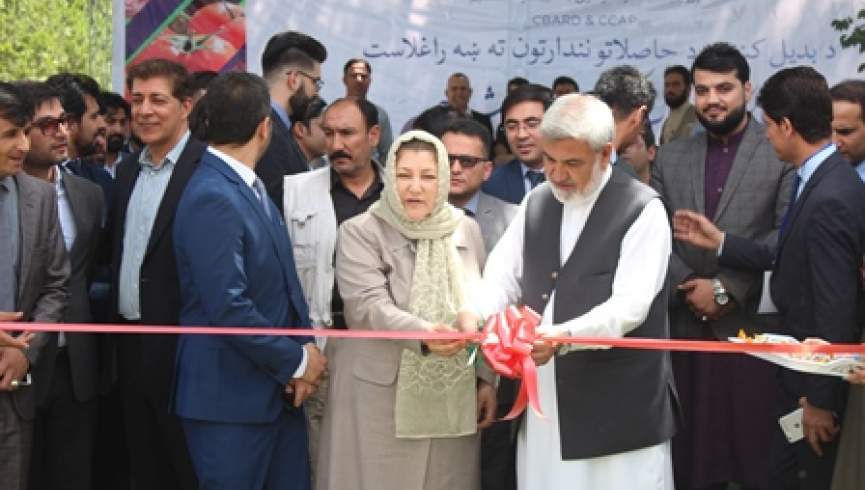 بزرگ‌ترین نمایشگاه محصولات کشت بدیل کوکنار  در کابل برگزار شد