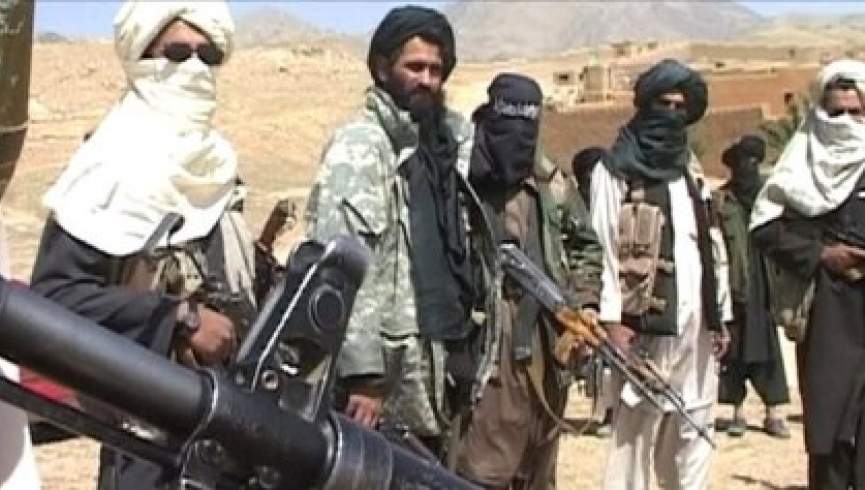 طالبان کشته شدن والی نام‌نهادشان برای کاپیسا را تایید کردند