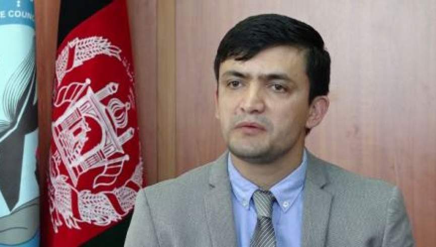 مذاکرات صلح تنها به رهبری افغان‌ها به پیش برده خواهد شد