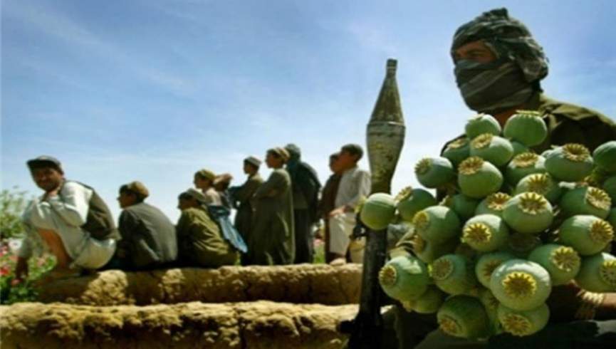 طالبان 100 کارخانه مواد مخدر فراه را آتش زدند