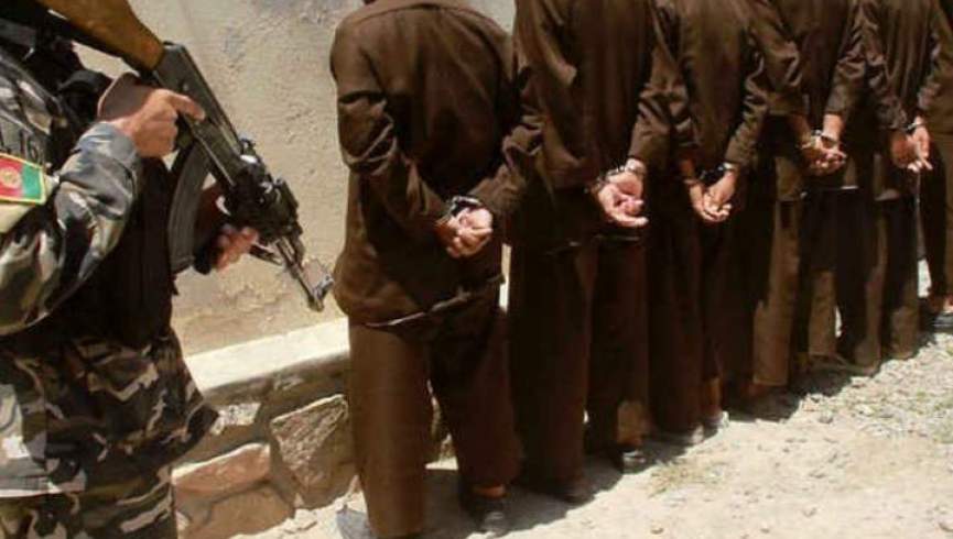 امنیت ملی 6 طالب و چهار متخلف قانون را در هرات دستگیر کرد