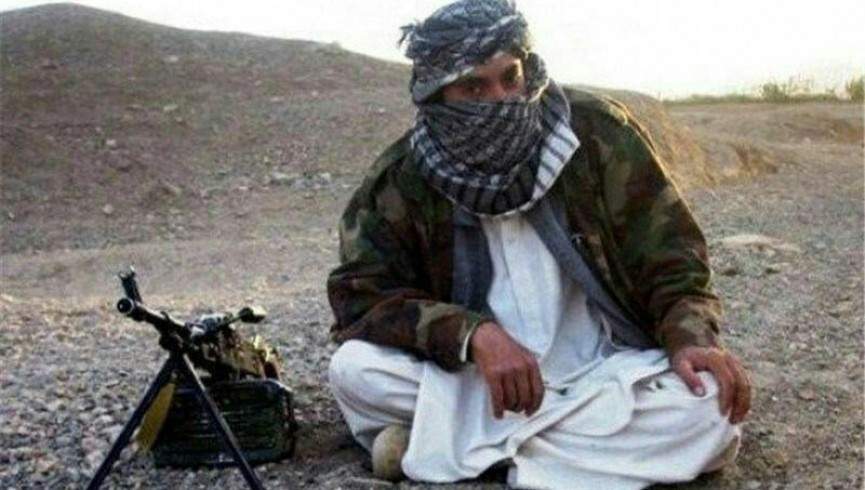 حافظ محی‌الدین، فرمانده چریکی طالبان شیندند هرات کشته شد
