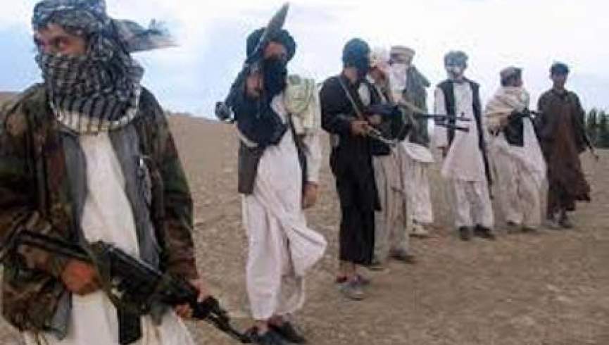 طالبان در پروان چهار سارق مسلح را تیرباران کردند