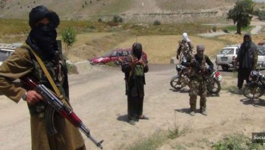مجلس: نهادهای امنیتی باید فوراً 25 باشنده بلخاب را از چنگ طالبان رها کنند