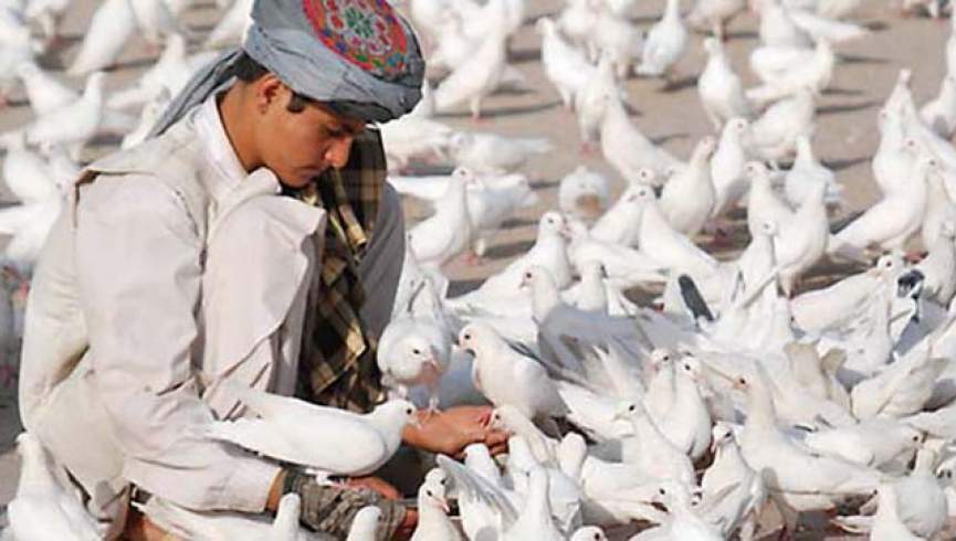 روند صلح؛ چه‌کسی به‌جای افغان‌ها تصمیم می‌گیرد؟