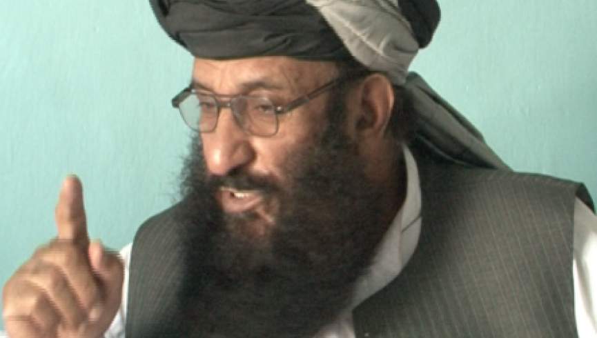 عضو پیشین گروه طالبان: طالبان خواهان انحصار قدرت نیستند
