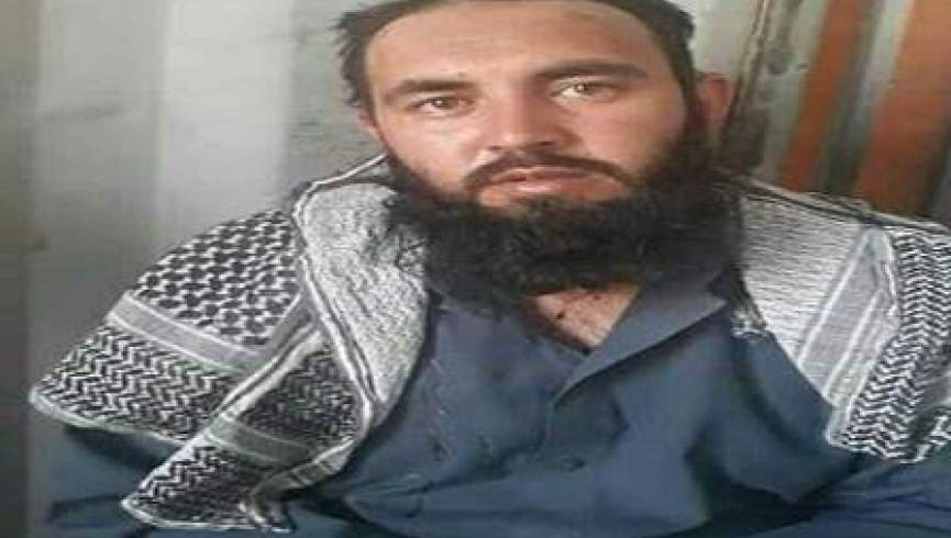 متلاشی شدن شبکه هشت نفری گروه طالبان در تخار/ مسوول رسانه‌ای طالبان در غزنی بازداشت شد