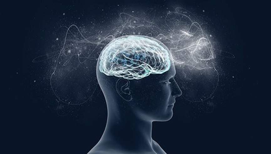 مغز چه مدت پس از جدا شدن سر از بدن زنده می‌ماند؟