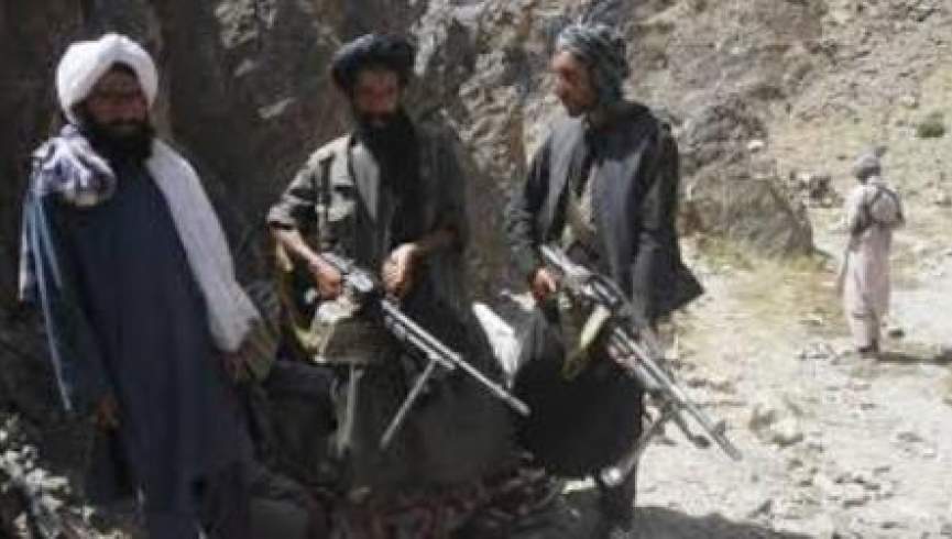 وزارت دفاع از کشته و زخمی شدن بیش از 220 طالب مسلح خبر داد