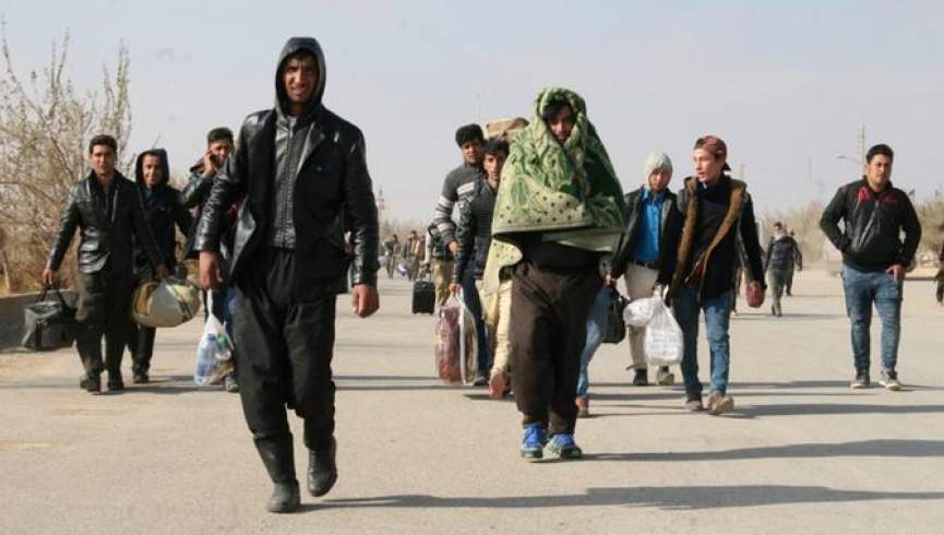 سازمان بین‌المللی مهاجرت: بیش از 22 هزار پناهجوی افغان از ترکیه اخراج شده‌اند