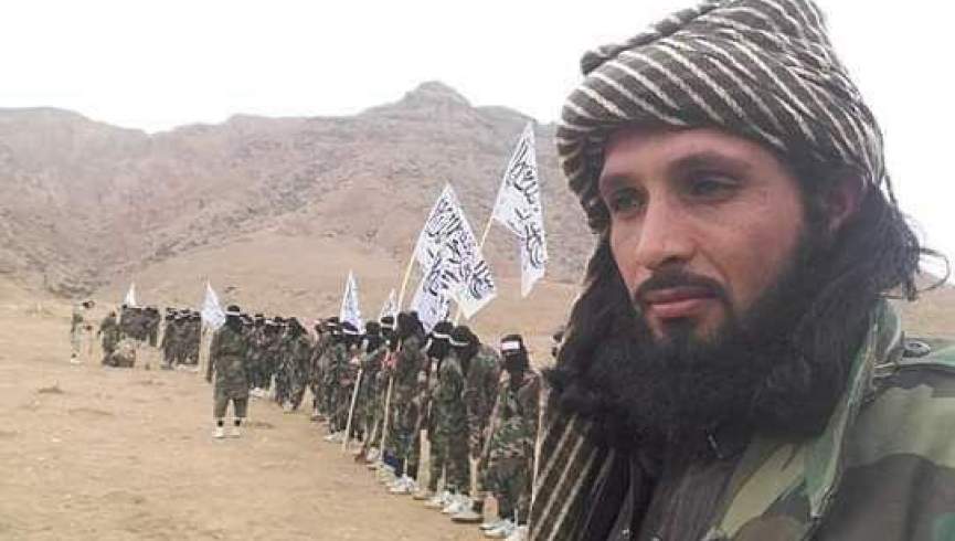 یک فرمانده کلیدی طالبان در فاریاب کشته شد