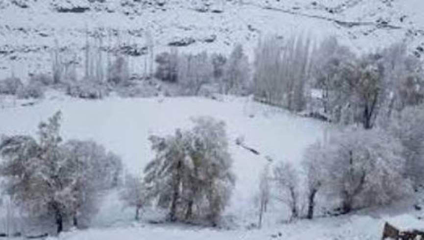 منابع مردمی: سردی هوا در غزنی جان 4 نفر را گرفت