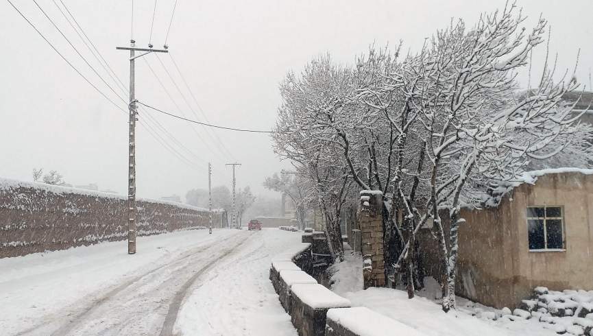 شمار جان باختگان سرمای هرات به شش تن رسید