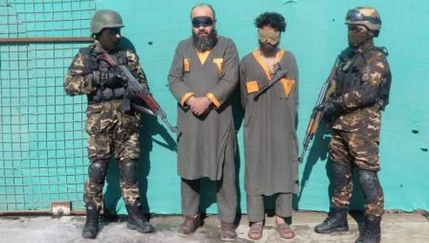 یک نفوذی طالبان در غزنی بازداشت شد