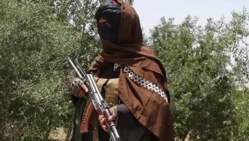 ملا وزیر و دو تن دیگر از اعضای طالبان در هرات کشته شدند