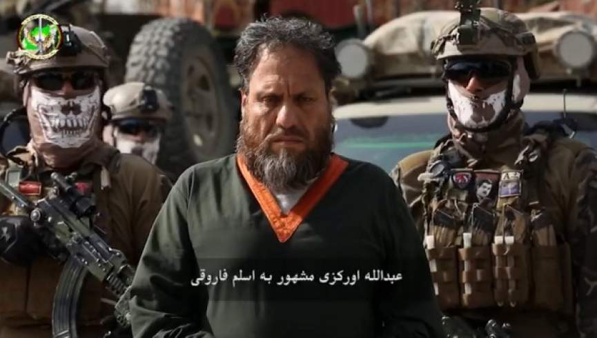 رهبر شاخه خراسان داعش از سوی نیروهای امنیت ملی بازداشت شد