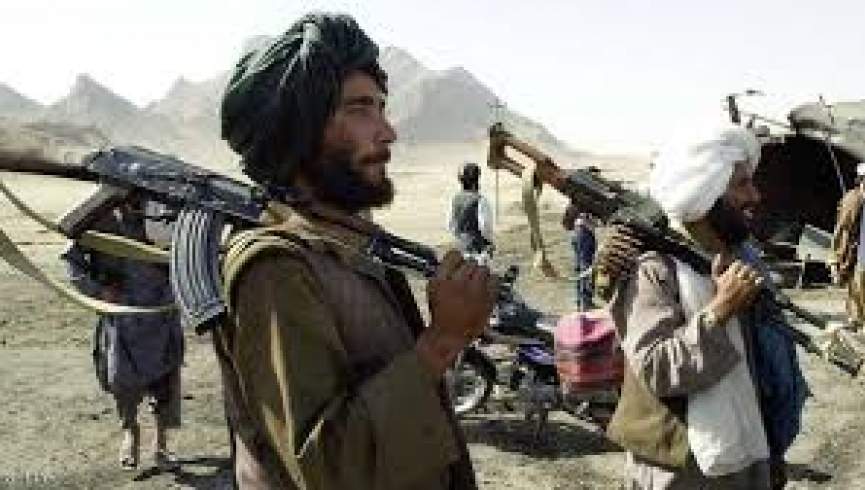 حمله طالبان در چشمه شیر ولایت بغلان؛ هشت طالب کشته شدند