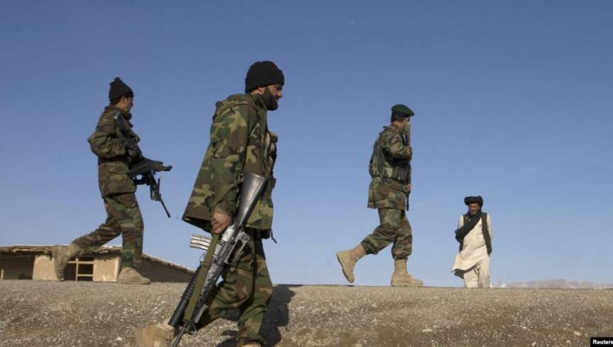 د زابل شنکۍ ولسوالۍ له سقوط نه وژغورل شوه، ۳۱ طالبان وژل شوي