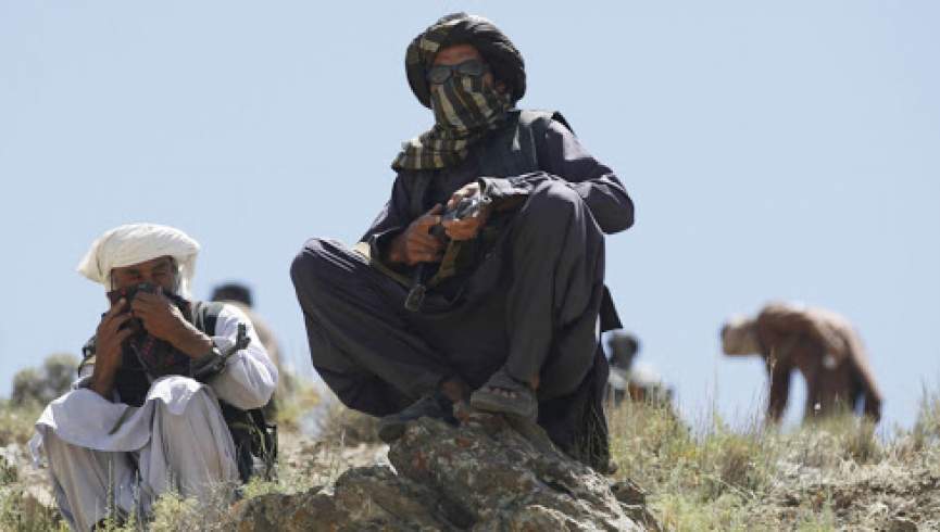 چهار جنگجوی طالب در فراه کشته شدند