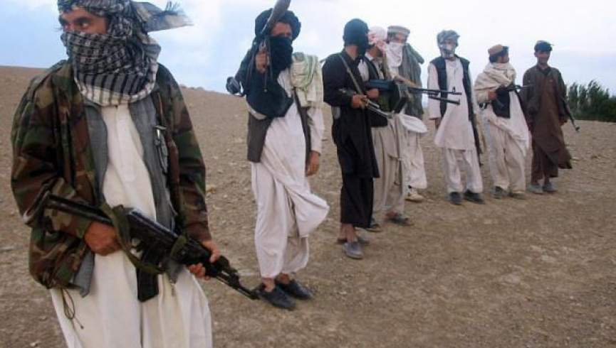 طالبان در فراه 12 کشته و 9 زخمی دادند