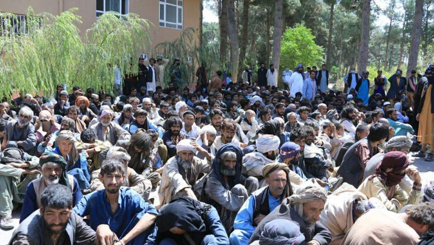 مقامات هرات: معتادانِ به مواد مخدر از سطح جمع‌آوری و تداوی می‌شوند
