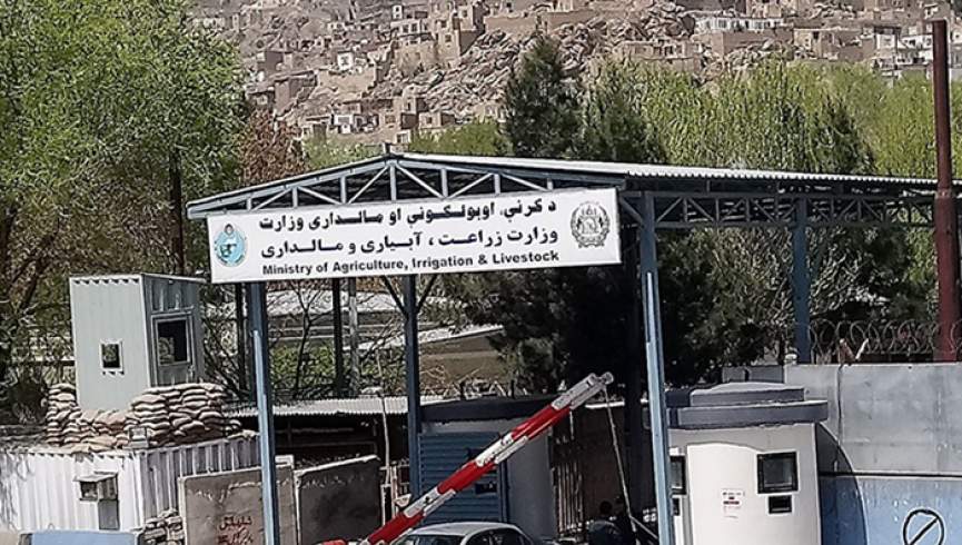 طالبان رهبری وزارت زراعت را تعیین کردند