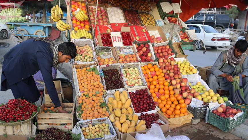 افزایش 60 درصدی حاصلات میوه در هرات 
