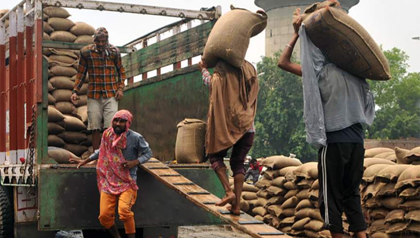 طالبان صادرات گندم را ممنوع اعلام کردند
