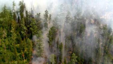 آتش سوزی در جنگل‌های کنر و نورستان کامل مهار شد