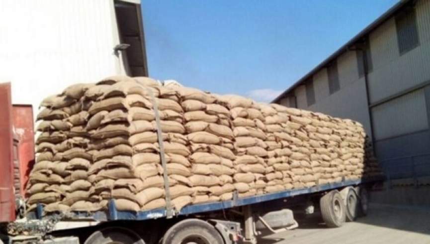 صادرات گندم هند به «1 میلیون و 800 هزار» تن افزایش یافت