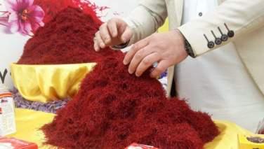 افزایش چند برابری صادرات زعفران هرات در سایه‌ای چالش‌های بانکی و زراعتی