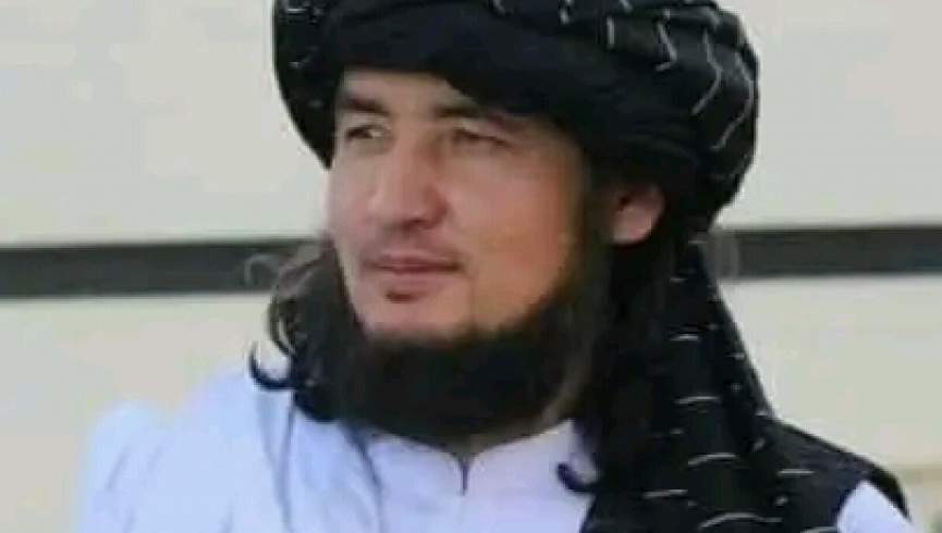 ادعای یک عضو طالبان: مولوی مهدی در جنگ بلخاب زخمی شده است