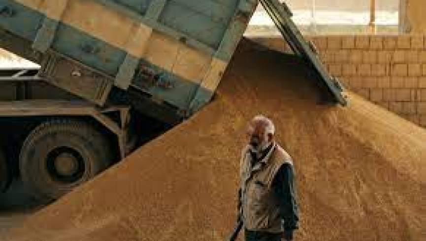 پاکستان 120 هزار تُن گندم کمکی به افغانستان را تهیه می‌کند