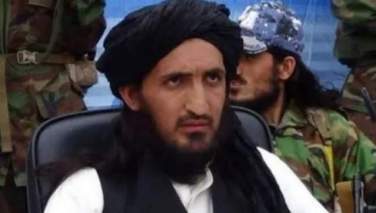 فرمانده ارشد طالبان پاکستانی در پکتیکا کشته شد