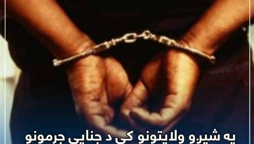 13 تن در پیوند به سرقت‌های مسلحانه و فساد اخلاقی بازداشت شدند