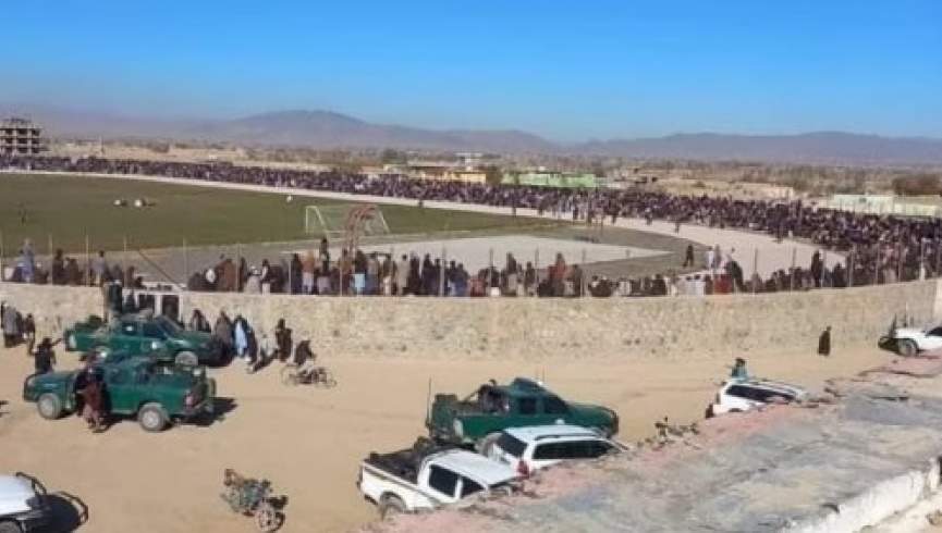 لوګر کې په ۱۴ تنو شرعي حدود جاري شول