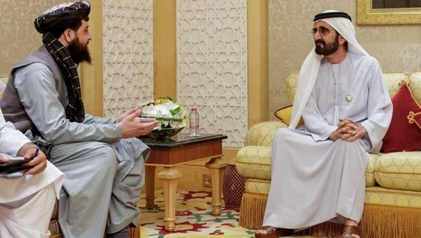 سرپرست وزارت دفاع با نائب دولت امارات متحده عربی دیدار کرد