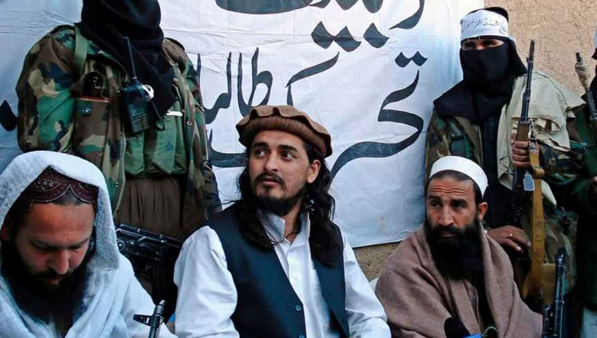 طالبان پاکستان، مشکل کیست؟