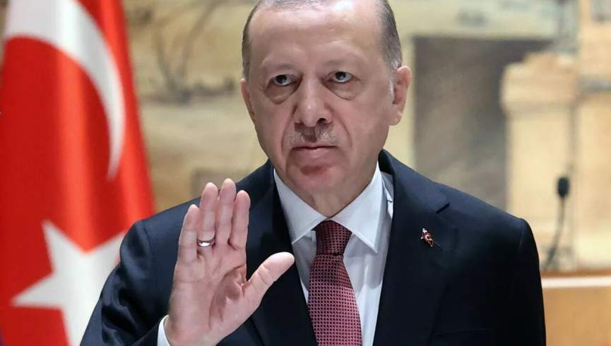 تاکید اردوغان بر اصلاحات در شورای امنیت سازمان ملل